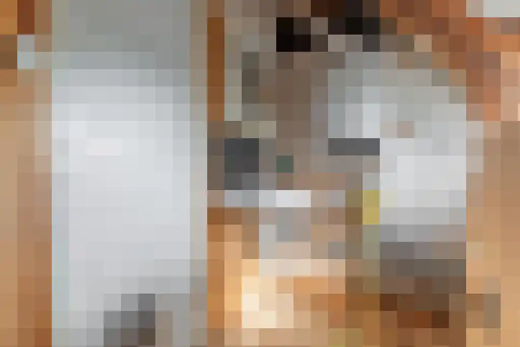 Graaf Willem de Oudelaan 37 Naarden thumbnail 35