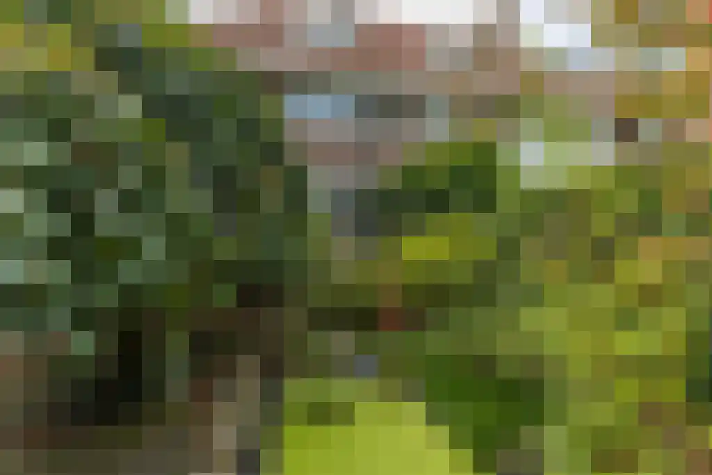 Graaf Willem de Oudelaan 37 Naarden thumbnail 52