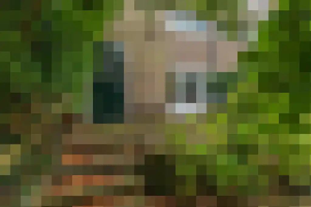 Graaf Willem de Oudelaan 37 Naarden thumbnail 42