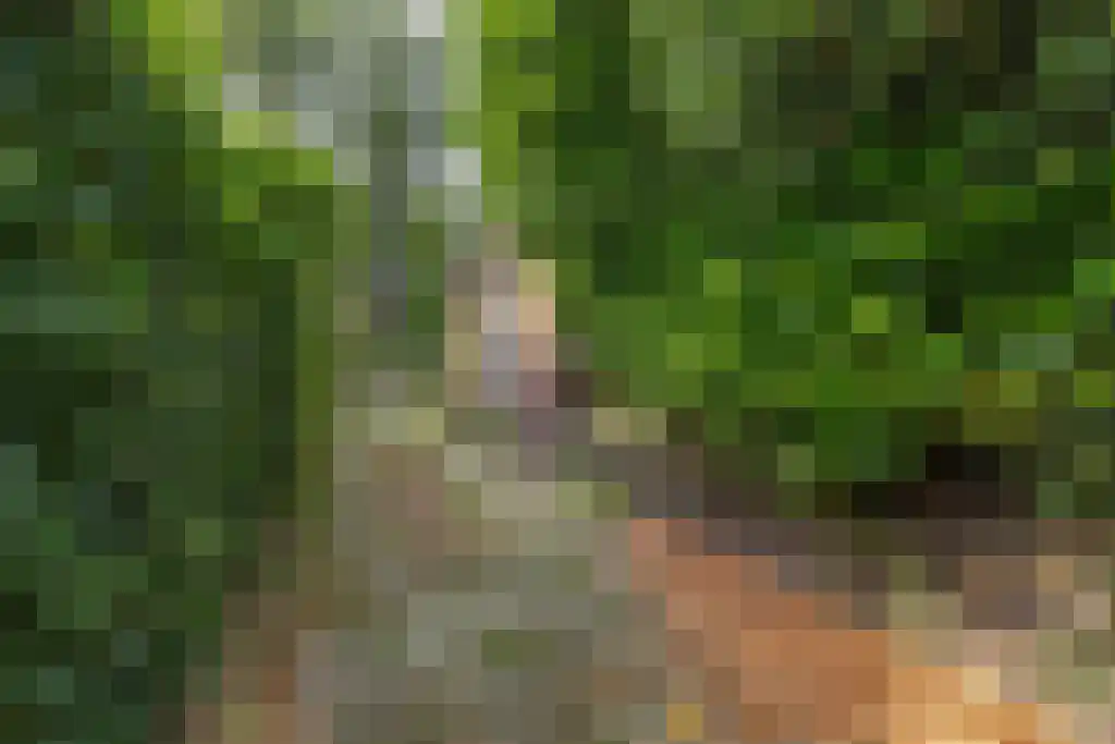 Graaf Willem de Oudelaan 37 Naarden thumbnail 53