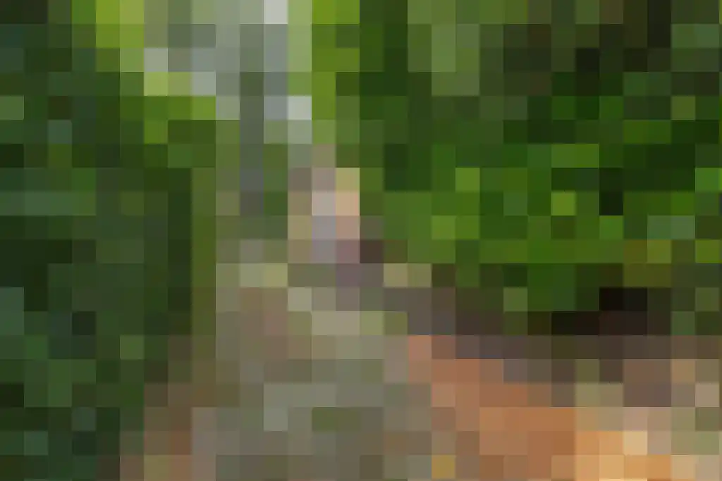 Graaf Willem de Oudelaan 37 Naarden thumbnail 54