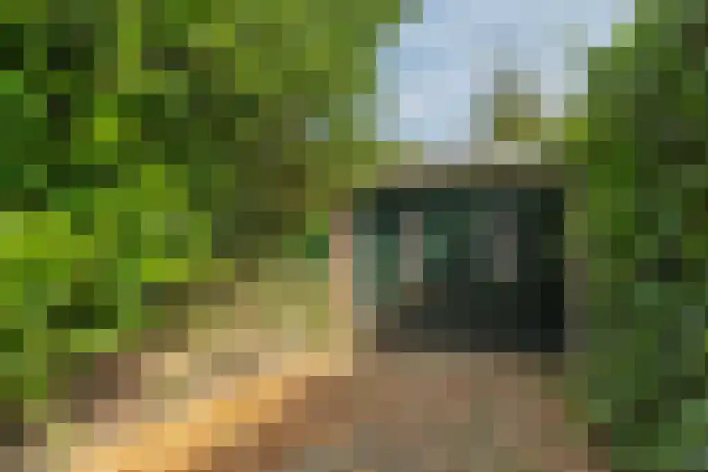 Graaf Willem de Oudelaan 37 Naarden thumbnail 43