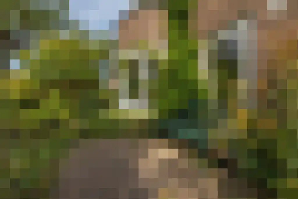 Graaf Willem de Oudelaan 37 Naarden thumbnail 45