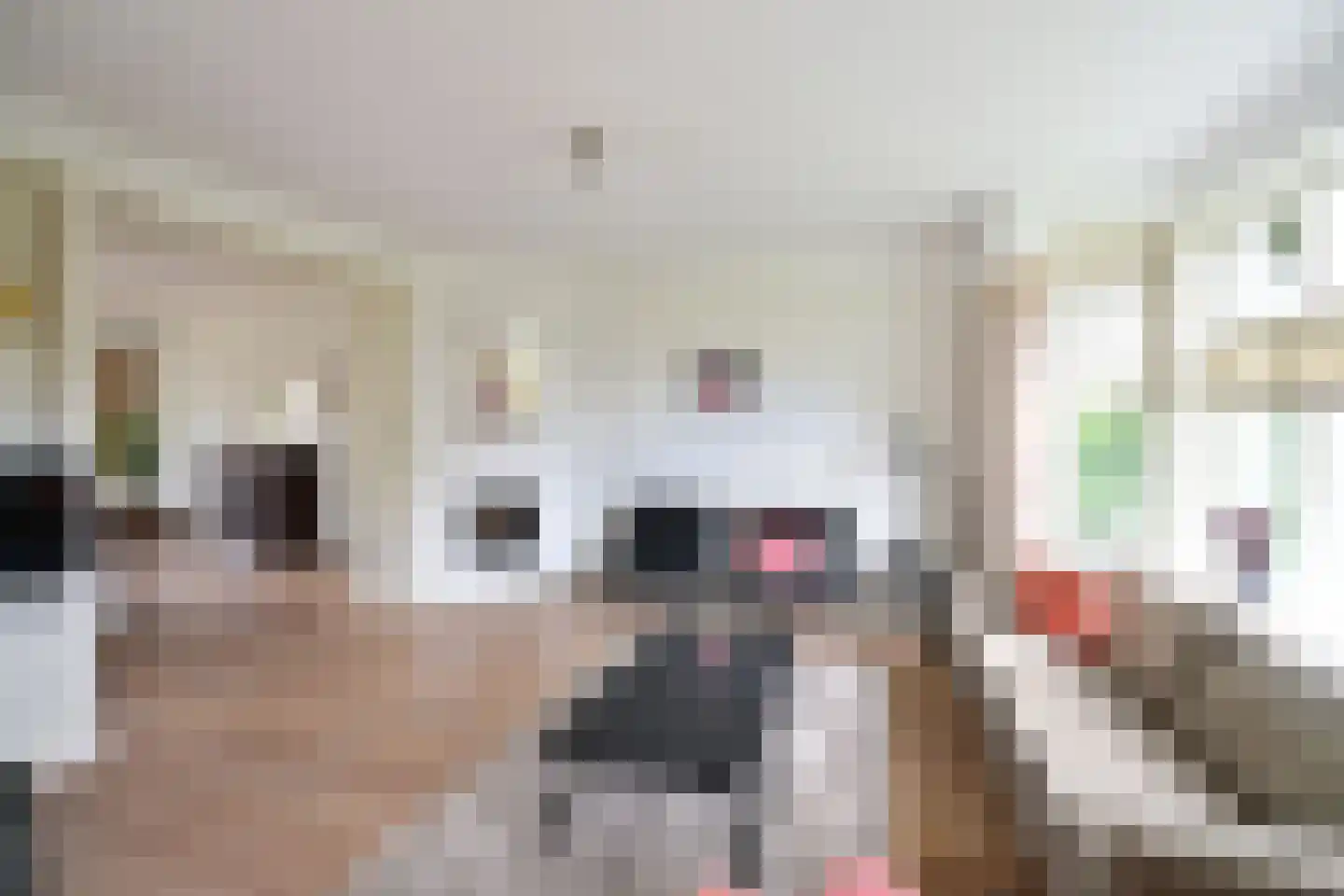 Graaf Willem de Oudelaan 38 Naarden thumbnail 7