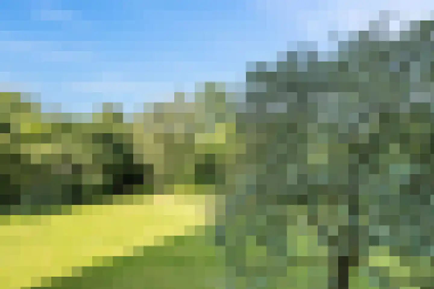 Graaf Willem de Oudelaan 95 Naarden thumbnail 24