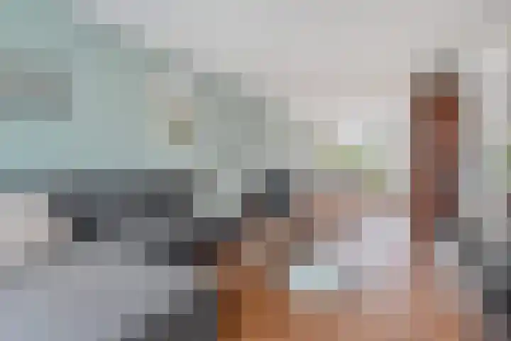 Graaf Willem de Rijkelaan 25 Leidschendam thumbnail 17