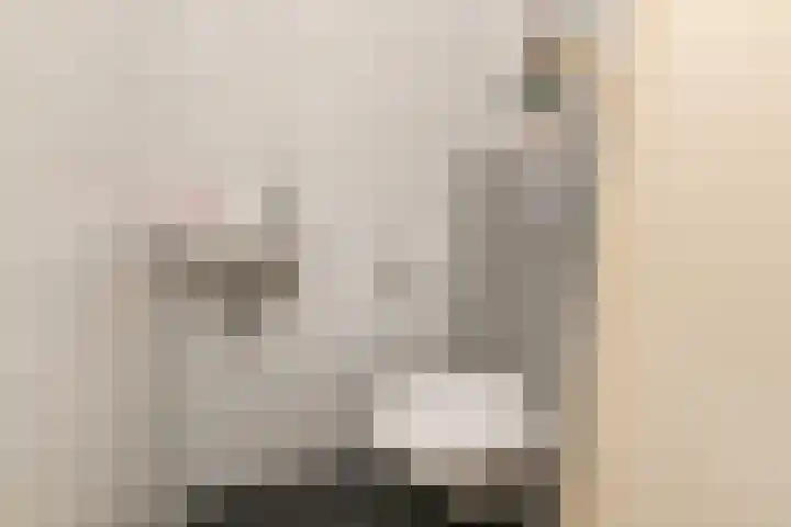 Graaf Willem de Rijkelaan 25 Leidschendam thumbnail 24