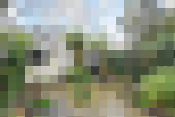 Graaf Willem de Rijkelaan 25 Leidschendam thumbnail 28