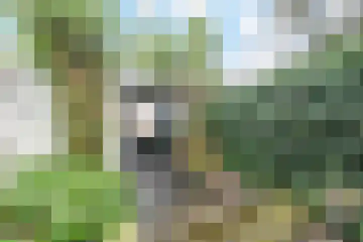 Graaf Willem de Rijkelaan 25 Leidschendam thumbnail 29