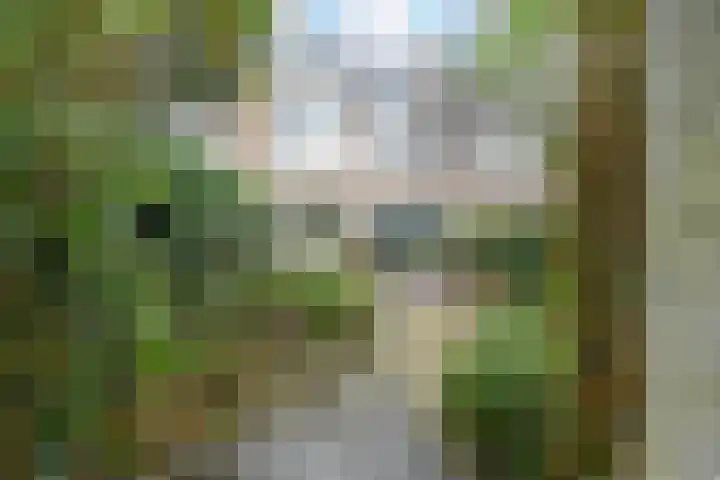 Graaf Willem de Rijkelaan 25 Leidschendam thumbnail 30