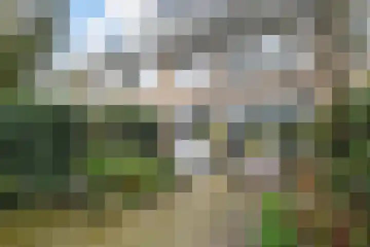 Graaf Willem de Rijkelaan 25 Leidschendam thumbnail 31