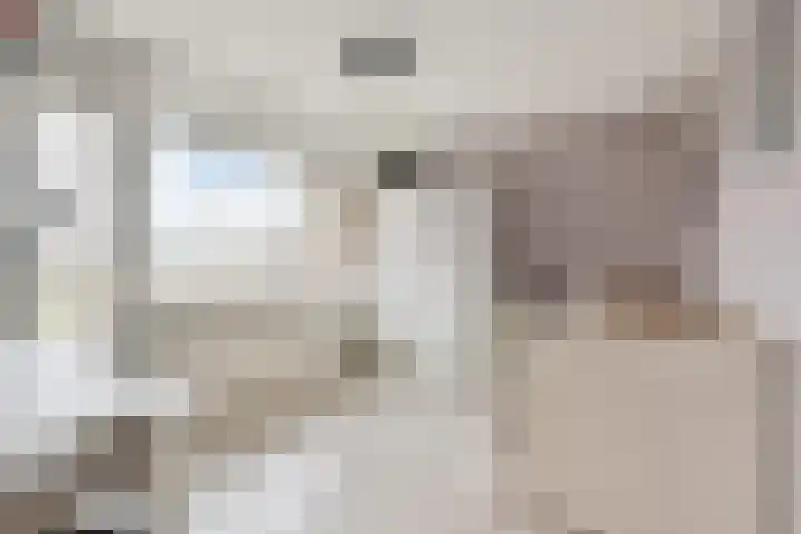 Graaf Willem de Rijkelaan 25 Leidschendam thumbnail 39