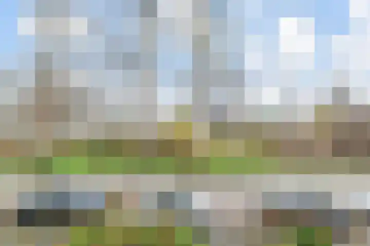 Graaf Willem de Rijkelaan 25 Leidschendam thumbnail 42