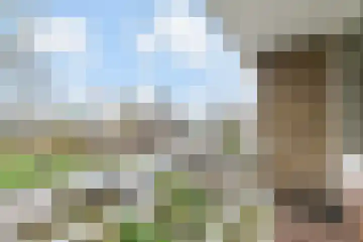 Graaf Willem de Rijkelaan 25 Leidschendam thumbnail 43