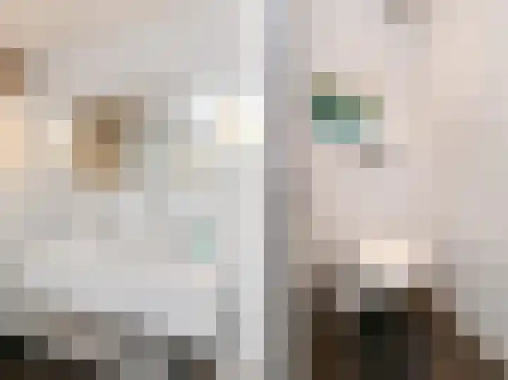 Graaf Willem de Rijkelaan 25 Leidschendam thumbnail 47
