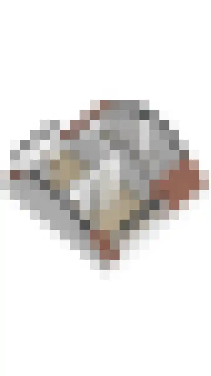 Graaf Willem de Rijkelaan 25 Leidschendam thumbnail 49