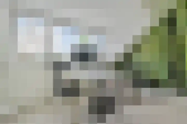 Graaf Willem de Rijkelaan 25 Leidschendam thumbnail 53