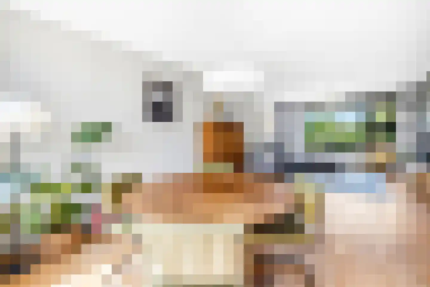 Graaf Willem de Rijkelaan 7 Leidschendam thumbnail 10