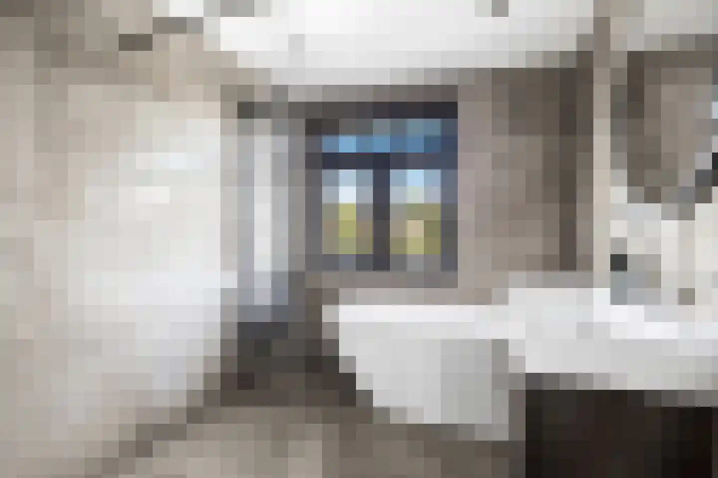 Graaf Willem de Rijkelaan 7 Leidschendam thumbnail 21