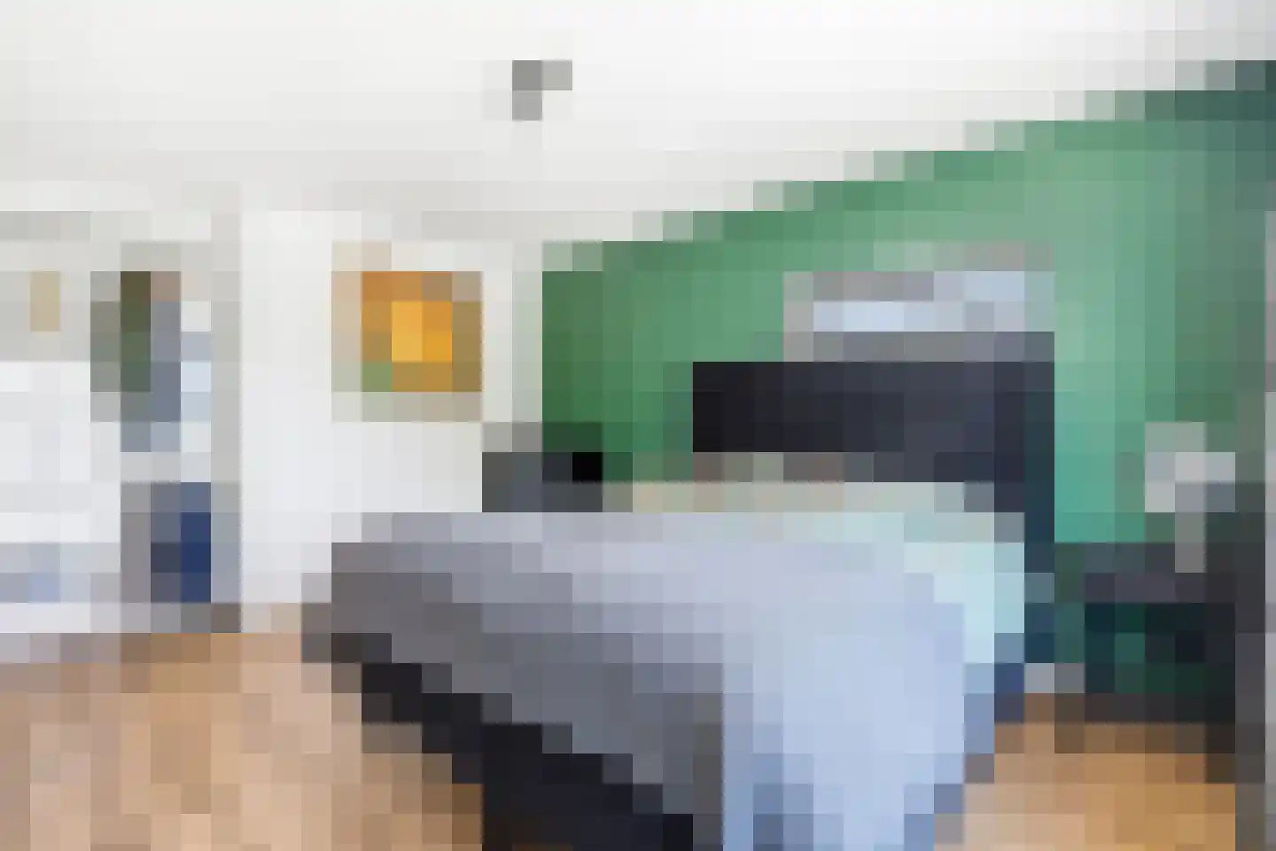 Graaf Willem de Rijkelaan 7 Leidschendam thumbnail 27