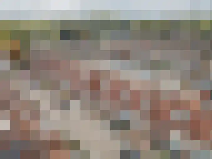 Graaf Willem I straat 21 Geertruidenberg thumbnail 10