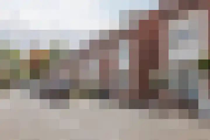 Graaf Willem I straat 21 Geertruidenberg thumbnail 15
