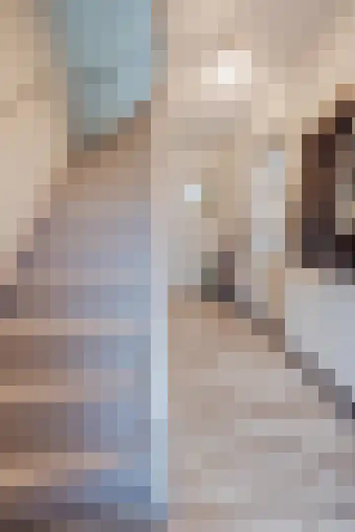 Graaf Willem I straat 21 Geertruidenberg thumbnail 17