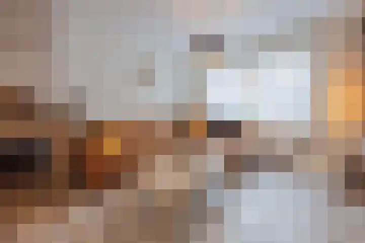 Graaf Willem I straat 21 Geertruidenberg thumbnail 20