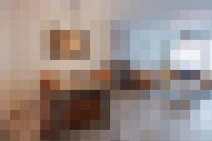 Graaf Willem I straat 21 Geertruidenberg thumbnail 22