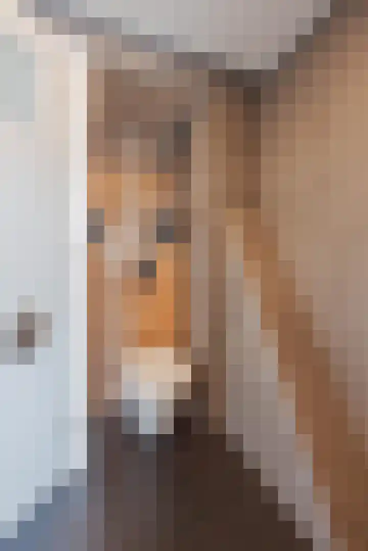 Graaf Willem I straat 21 Geertruidenberg thumbnail 34