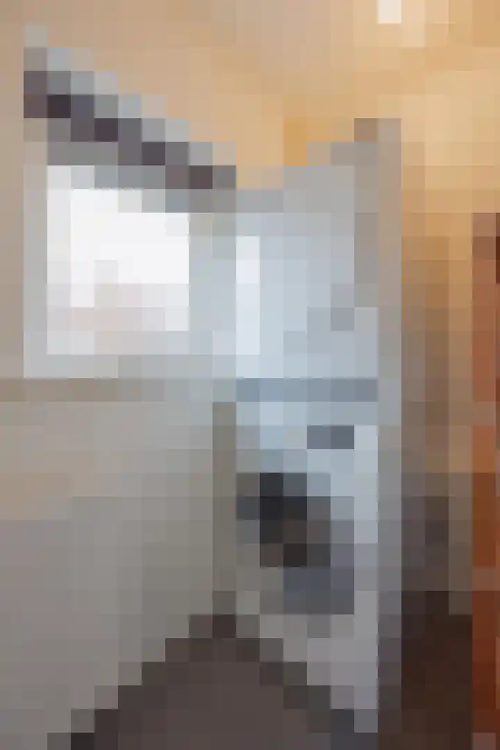 Graaf Willem I straat 21 Geertruidenberg thumbnail 35