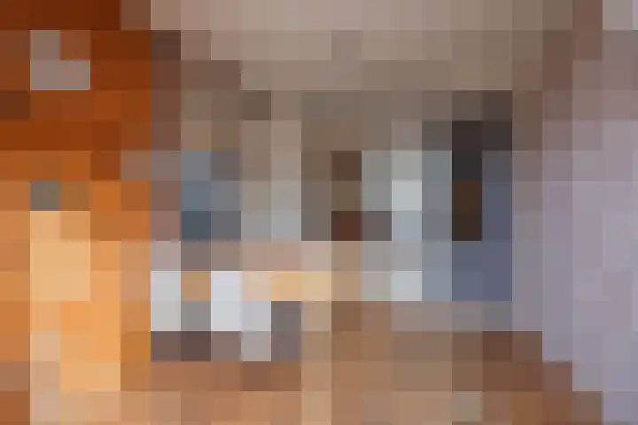 Graaf Willem I straat 21 Geertruidenberg thumbnail 44