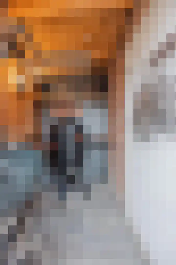 Graaf Willem I straat 21 Geertruidenberg thumbnail 45