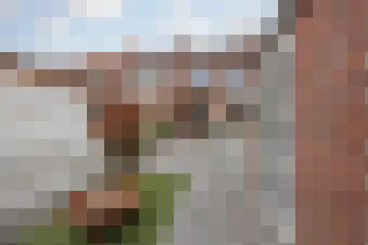 Graaf Willem I straat 21 Geertruidenberg thumbnail 6