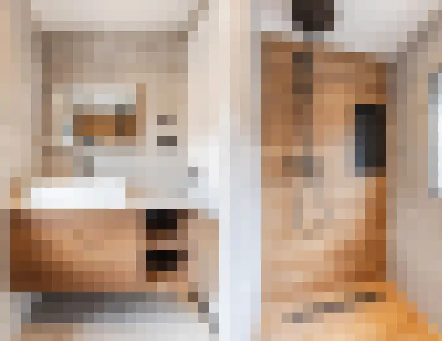 Graaf Willem I straat 28 Geertruidenberg thumbnail 25