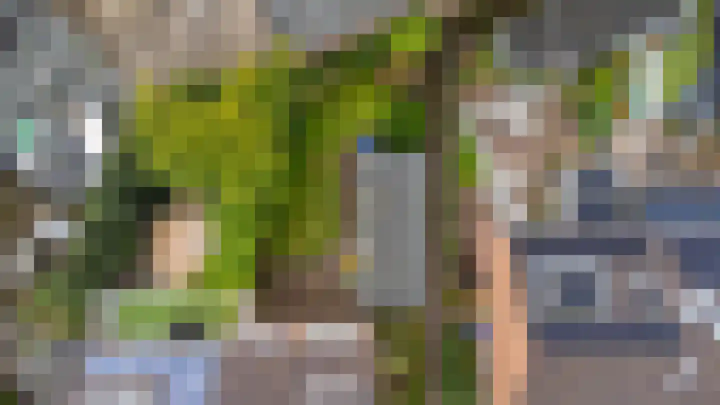 Graaf Willem II laan 3 Heemskerk thumbnail 42