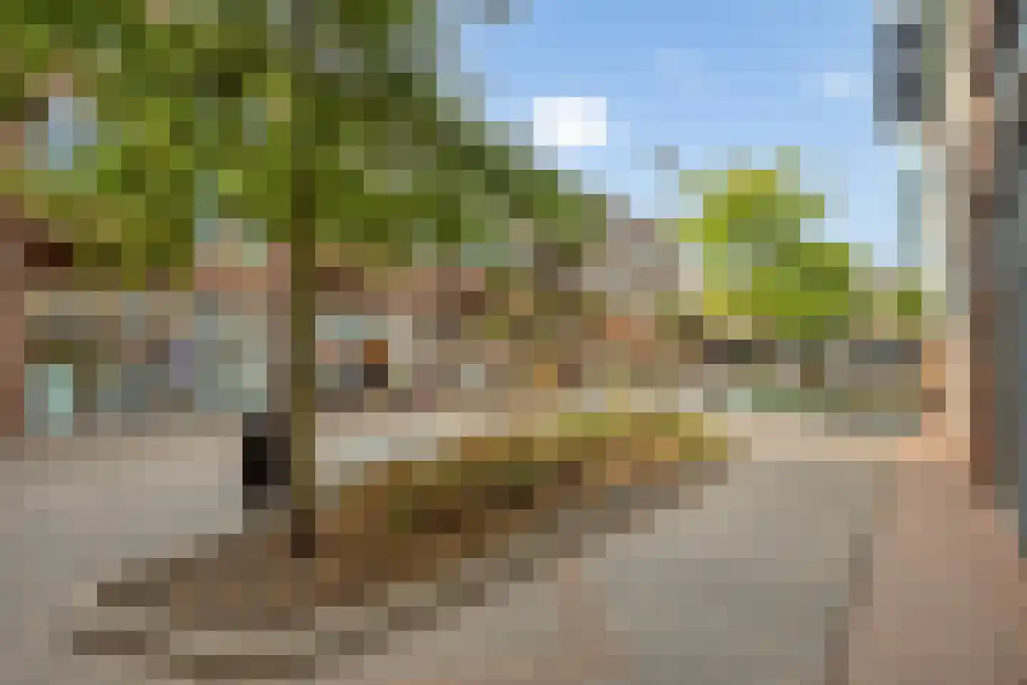 Graaf Willem II straat 152 's-Gravenzande thumbnail 24