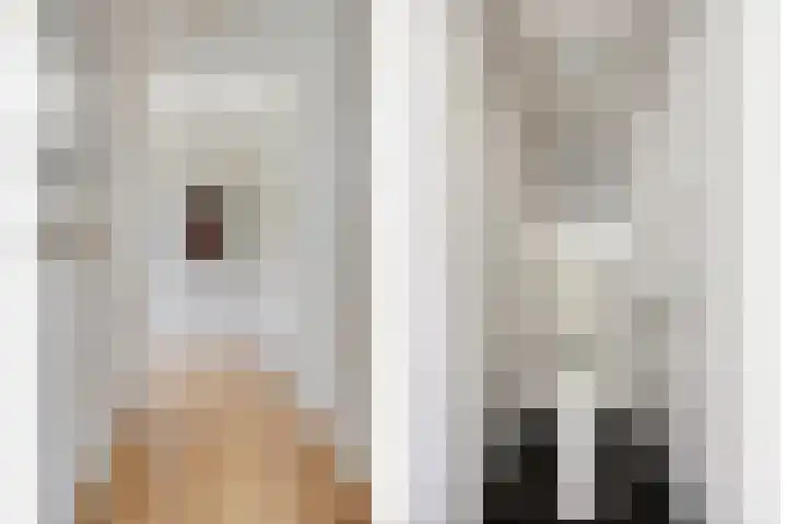 Graaf Willemlaan 100 Hendrik-Ido-Ambacht thumbnail 11