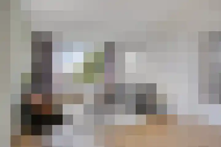Graaf Willemlaan 100 Hendrik-Ido-Ambacht thumbnail 12