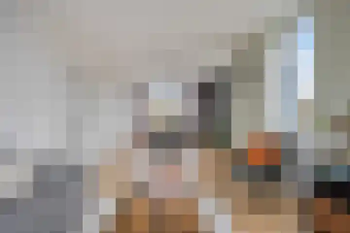 Graaf Willemlaan 100 Hendrik-Ido-Ambacht thumbnail 14