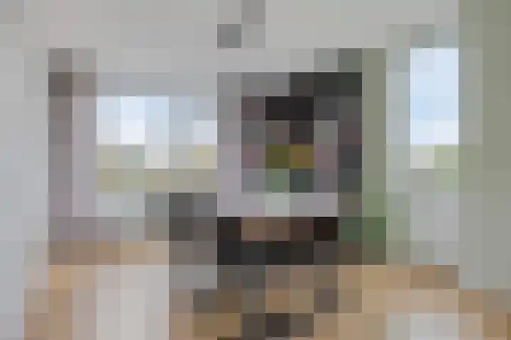 Graaf Willemlaan 100 Hendrik-Ido-Ambacht thumbnail 15