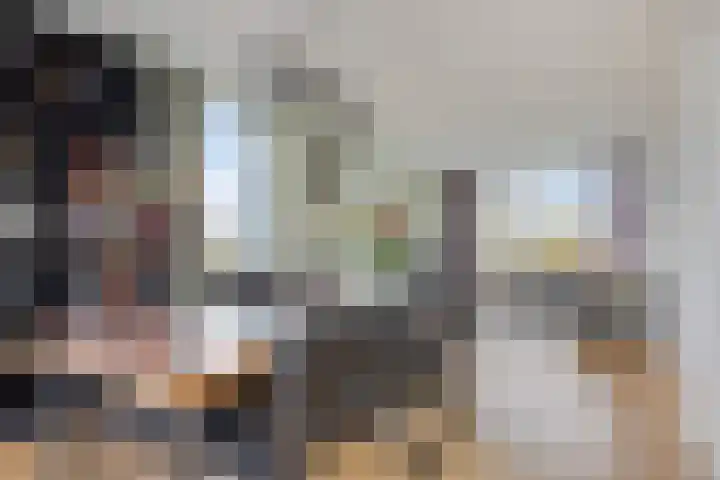 Graaf Willemlaan 100 Hendrik-Ido-Ambacht thumbnail 16