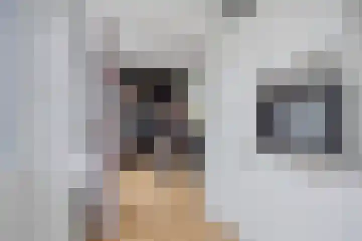 Graaf Willemlaan 100 Hendrik-Ido-Ambacht thumbnail 18
