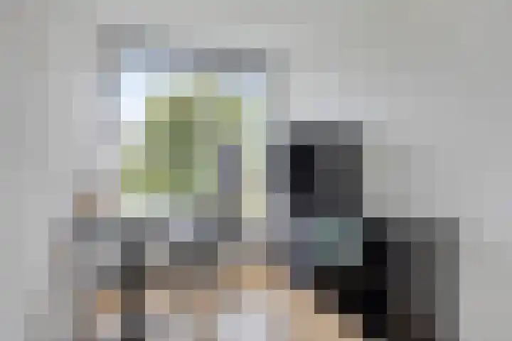 Graaf Willemlaan 100 Hendrik-Ido-Ambacht thumbnail 24