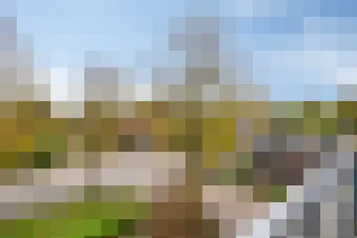 Graaf Willemlaan 100 Hendrik-Ido-Ambacht thumbnail 29