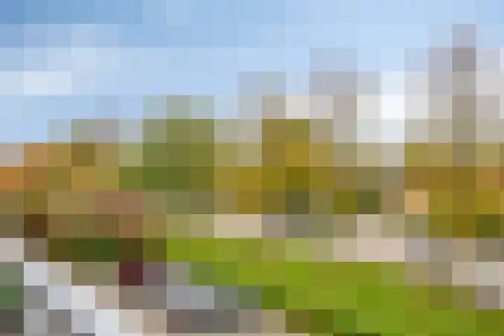 Graaf Willemlaan 100 Hendrik-Ido-Ambacht thumbnail 30