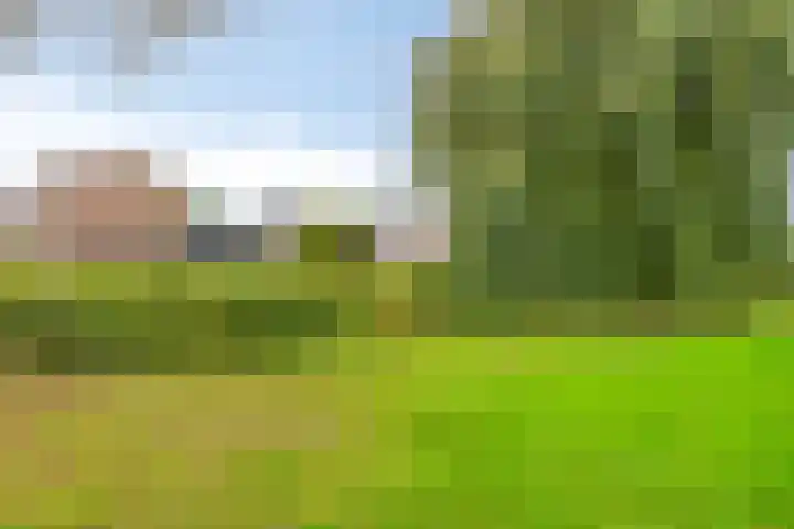 Graaf Willemlaan 100 Hendrik-Ido-Ambacht thumbnail 32
