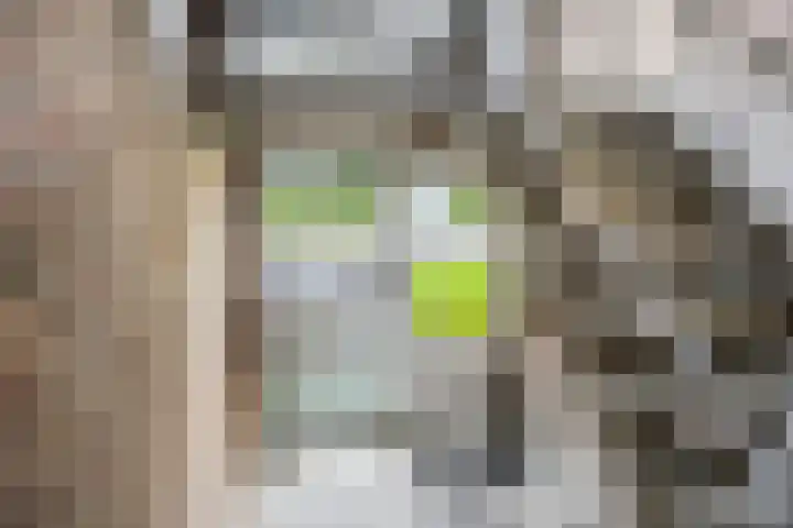 Graaf Willemlaan 100 Hendrik-Ido-Ambacht thumbnail 8
