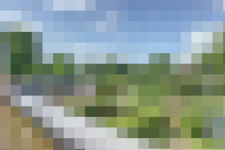 Graaf Willemlaan 112 Nieuwegein thumbnail 14