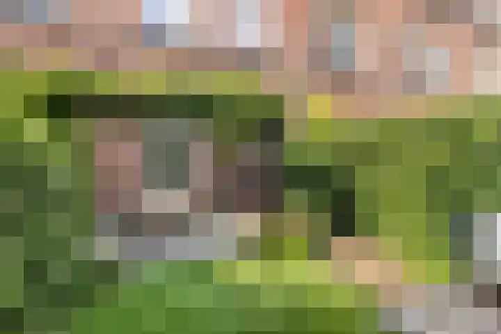 Graaf Willemlaan 134 Amersfoort thumbnail 14